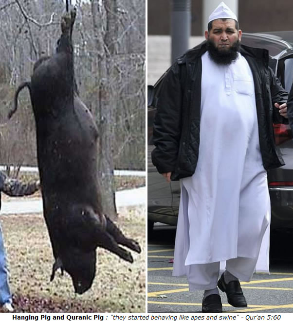 hanging pig and quranic pig suleman maknojioa