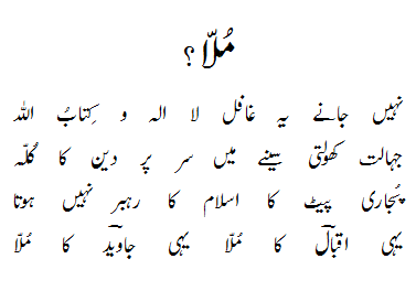 mullah poem by javed javed