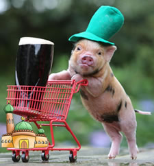 pig with beer trolley