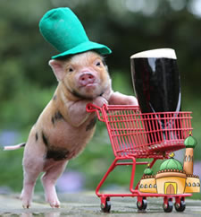 pig with beer trolley